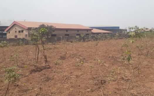 LAND FOR SALE AT IKORODU