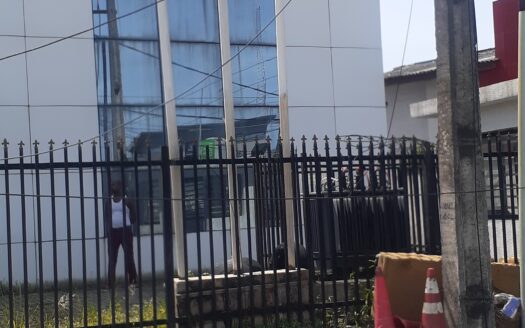 COMMERCIAL BUILDING FOR SALE AT VICTORIA ISLAND