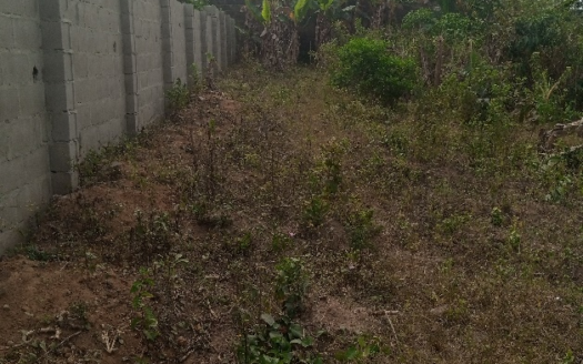 LAND FOR SALE AT AYOBO