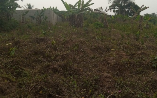 LAND FOR SALE AT AYOBO