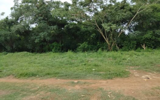 7.4 HECTARES OF LAND FOR SALE AT AGBARA