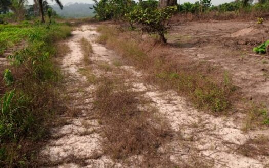 13 ACRES OF LAND FOR SALE AT RIVERS STATE